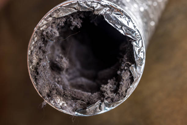 Best Dryer Vent Cleaning Services  in Mulberry, FL