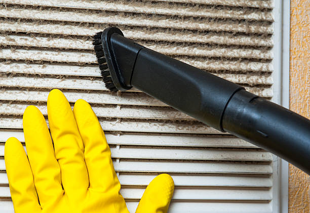 Best Affordable HVAC Duct Cleaning  in Mulberry, FL